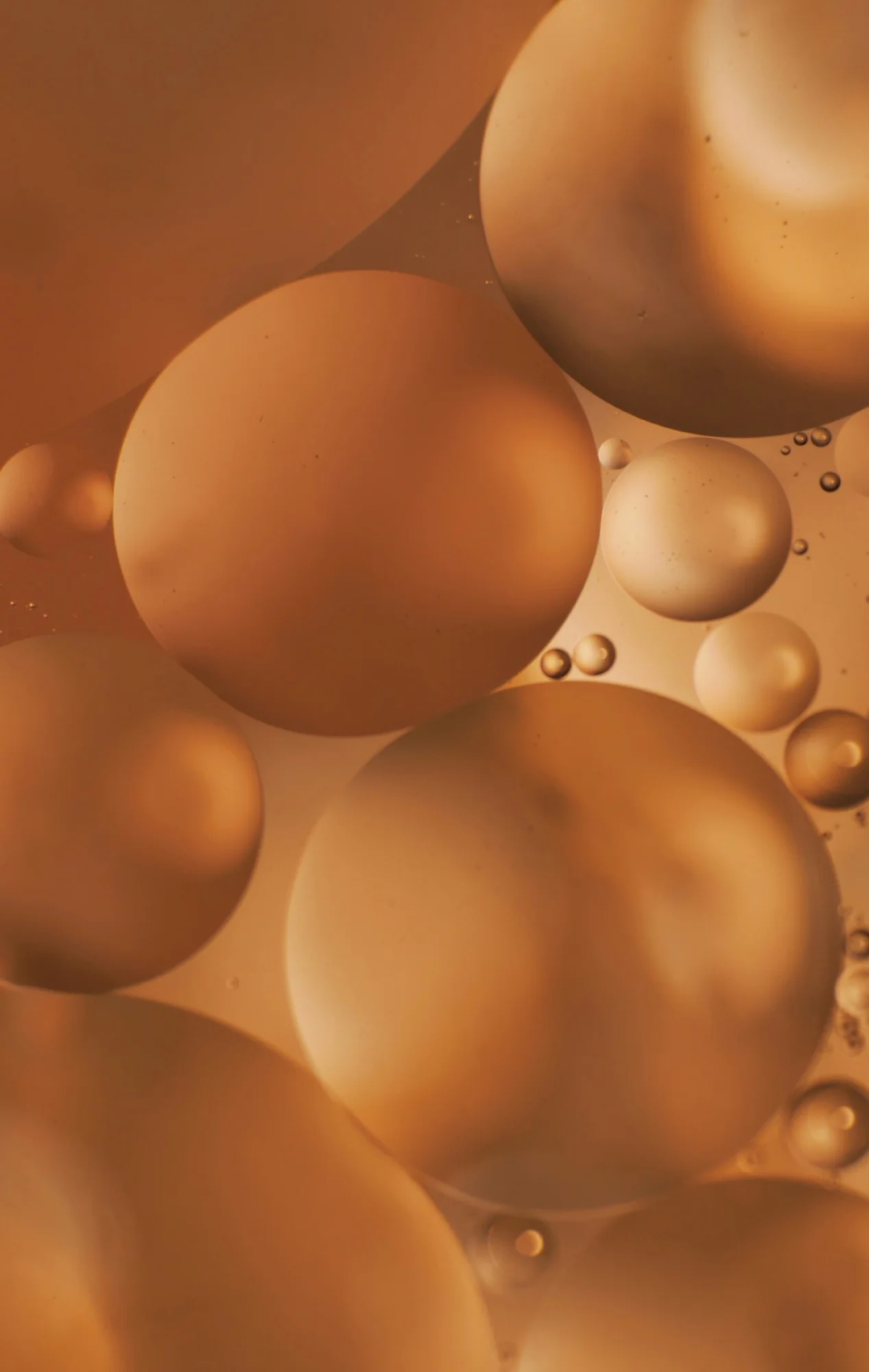 Weight and Metabolic Health